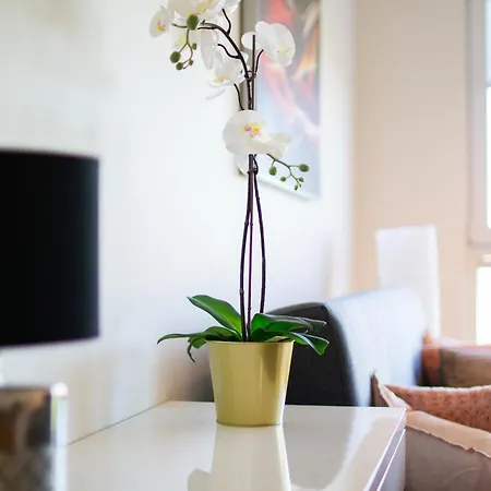 Modern With Parking And Balcony In By Renters شقة *